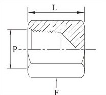 Pipe Cap NPT Female